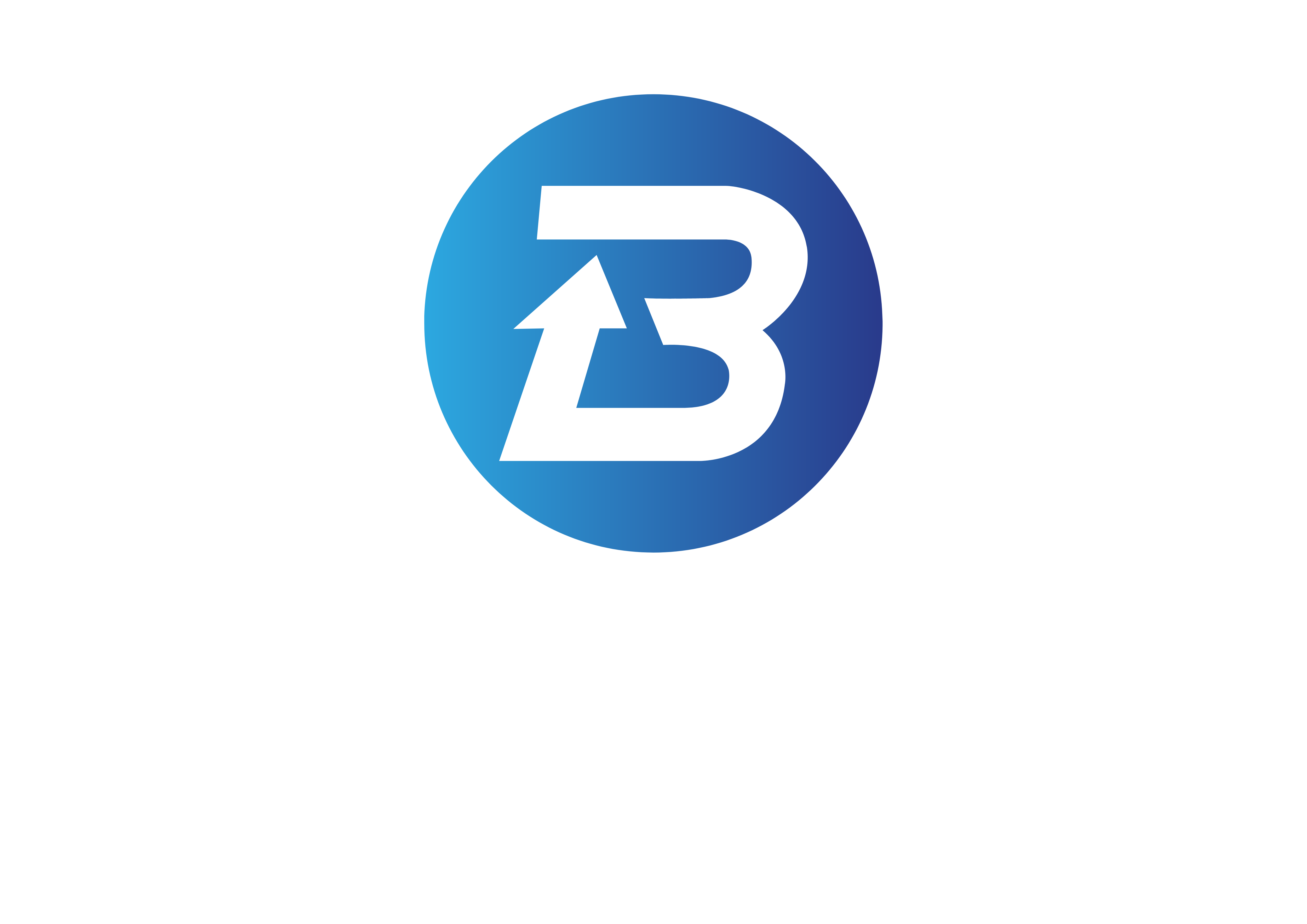 BalabanGroup Logo